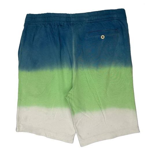 Polo By Ralph Lauren Shorts - Small Green Cotton